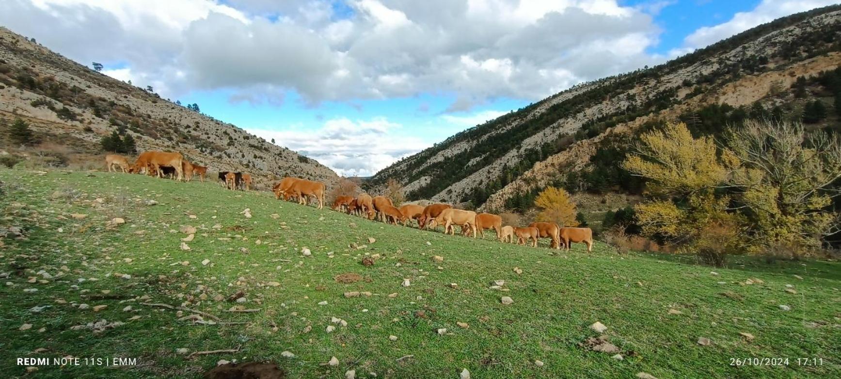 Apartamentos De Turismo Rural La Rocha Fortanete Kültér fotó